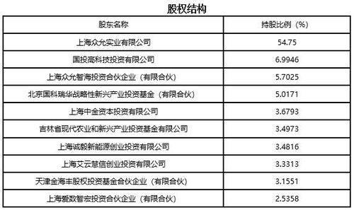 上海信息技術(shù)服務(wù)公司技術(shù)轉(zhuǎn)讓項(xiàng)目分析（編號(hào) 911209）